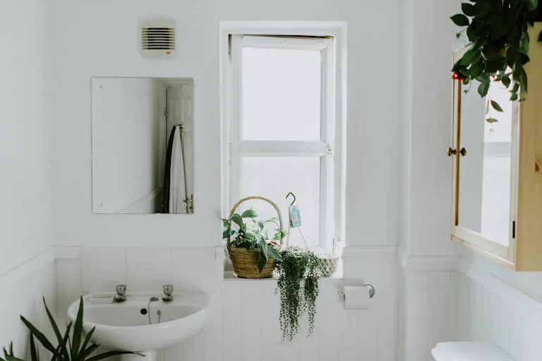 How to Choose Paint Colors for Every Room: A Step-by-Step Guide 3 how to choose paint colors - bathroom with calming color palette